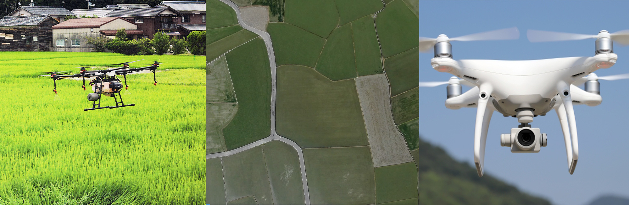 写真の説明を入れます